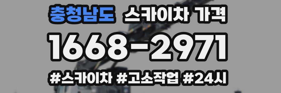 충청남도 스카이차 가격