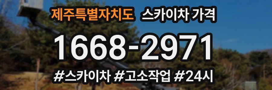 제주특별자치도 스카이차 가격