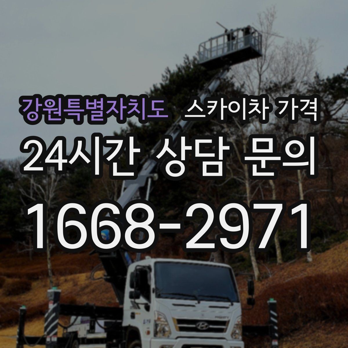 강원특별자치도 스카이차 가격 견적 문의 시 자주 빠지는 정보들