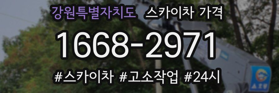 강원특별자치도 스카이차 가격