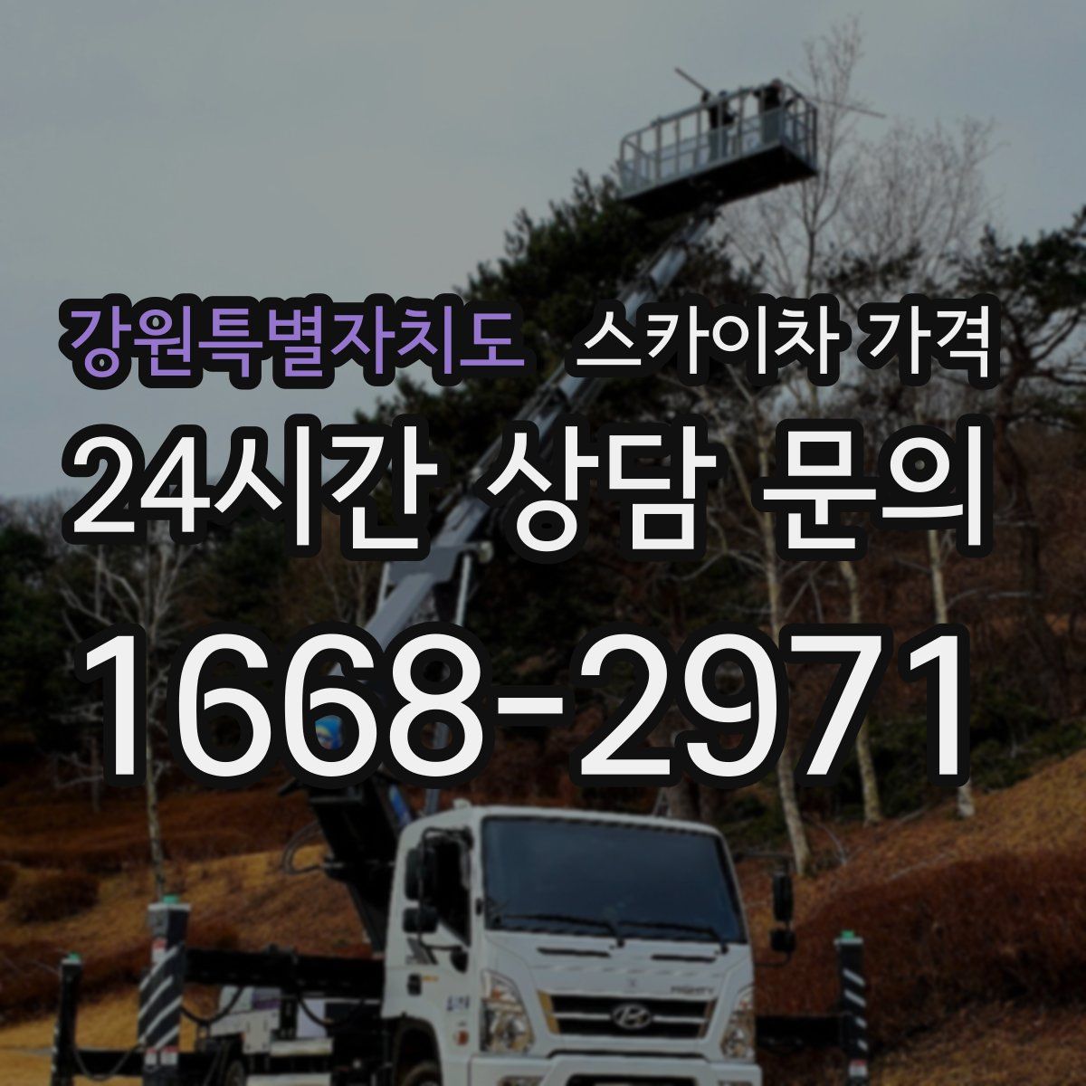 강원특별자치도 스카이차 가격