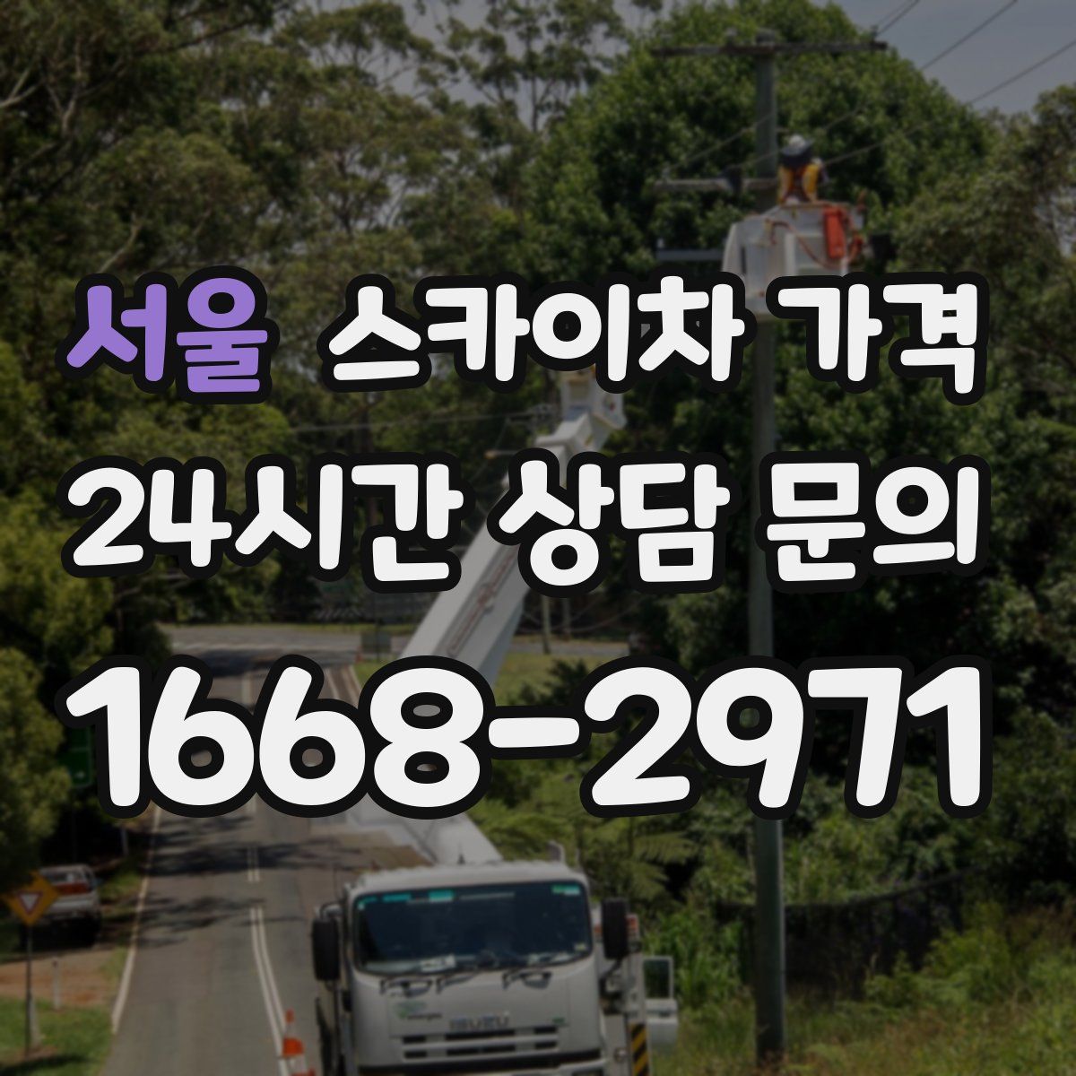 서울 스카이차 가격