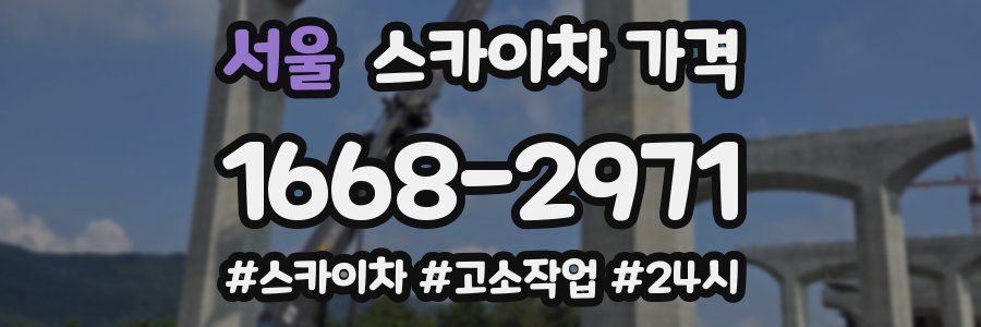 서울 스카이차 가격