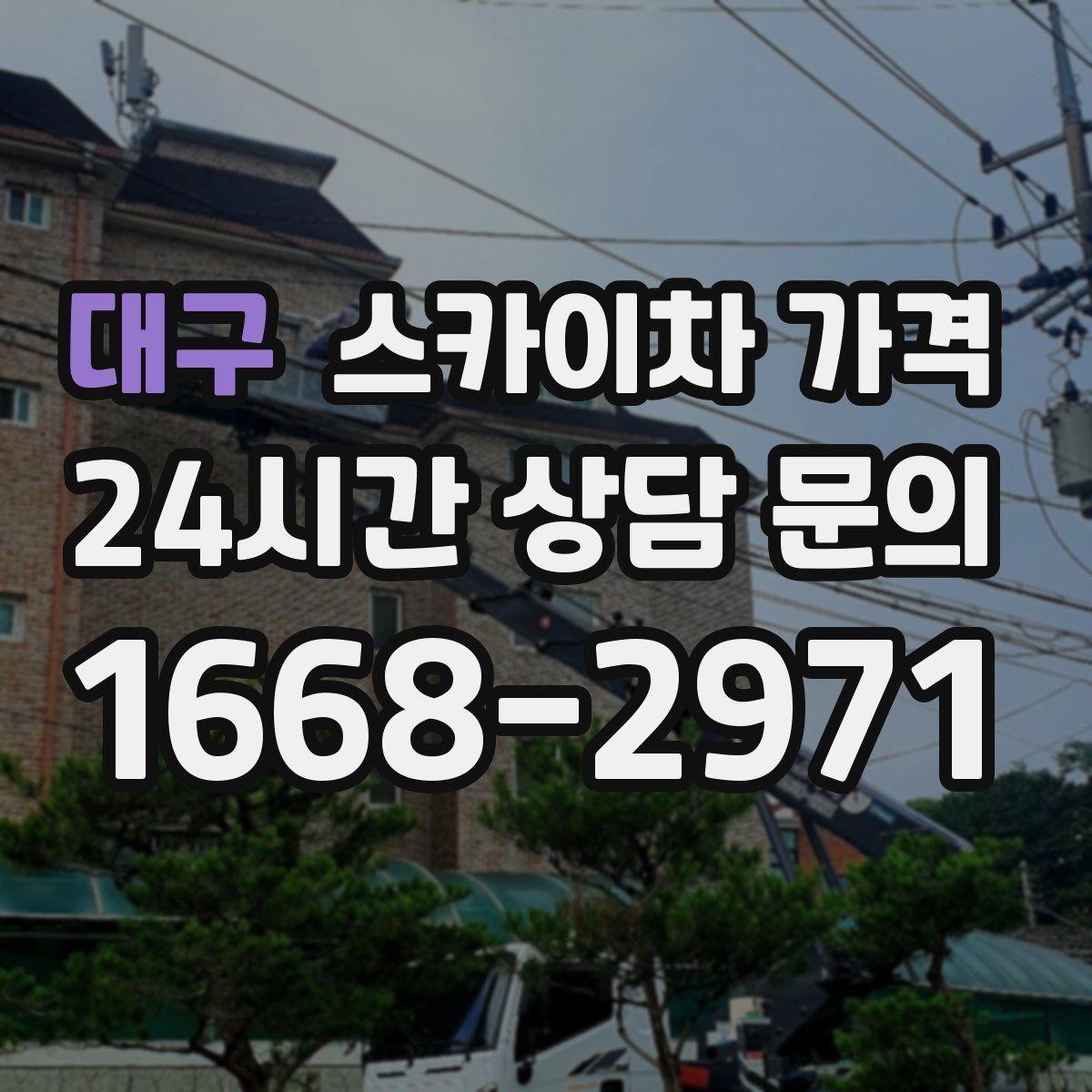 대구 스카이차 가격 급하면 당일도 가능할까 현실적인 기준