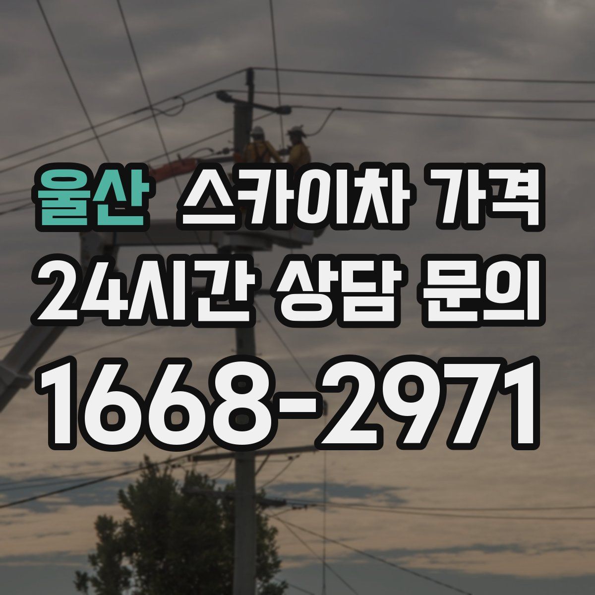 울산 스카이차 가격