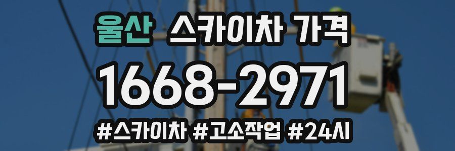 울산 스카이차 가격