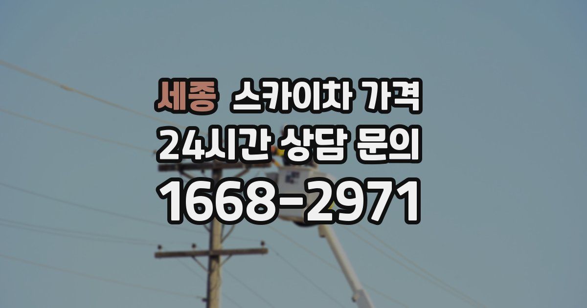 세종 스카이차 가격