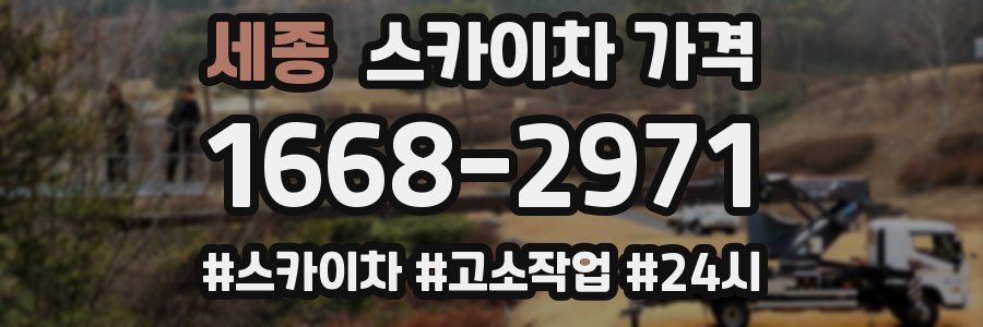 세종 스카이차 가격