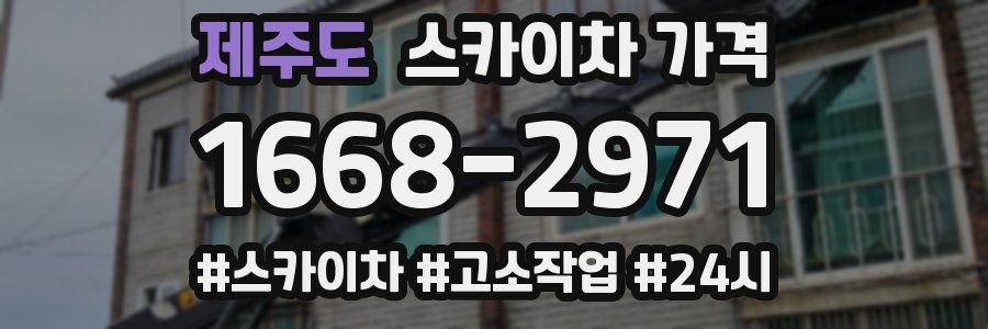 제주도 스카이차 가격