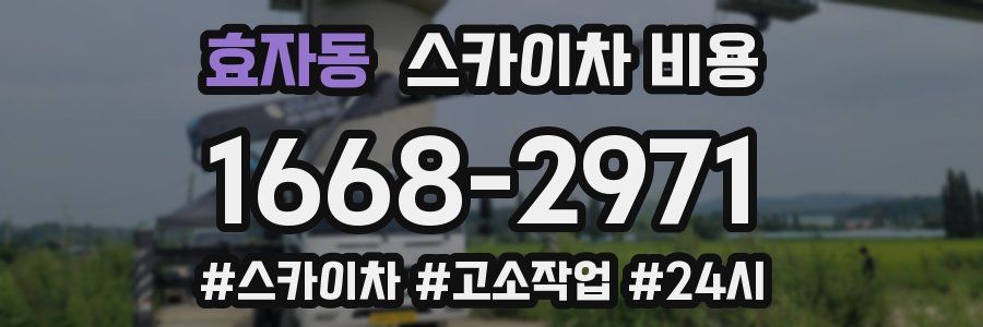 효자동 스카이차 비용