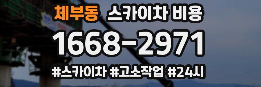 체부동 스카이차 비용