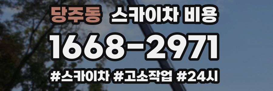 당주동 스카이차 비용