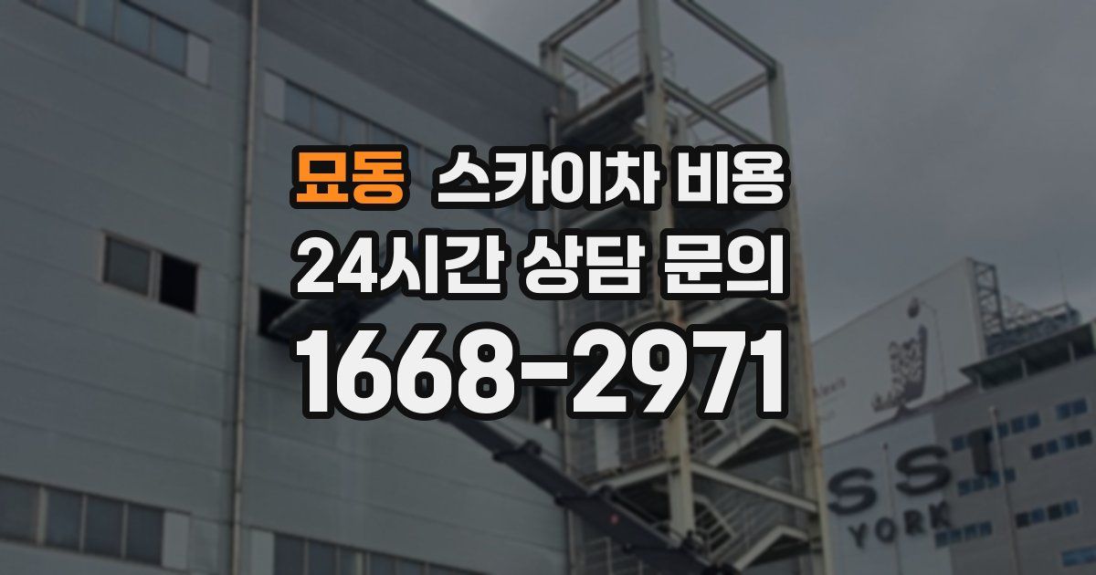 묘동 스카이차 비용