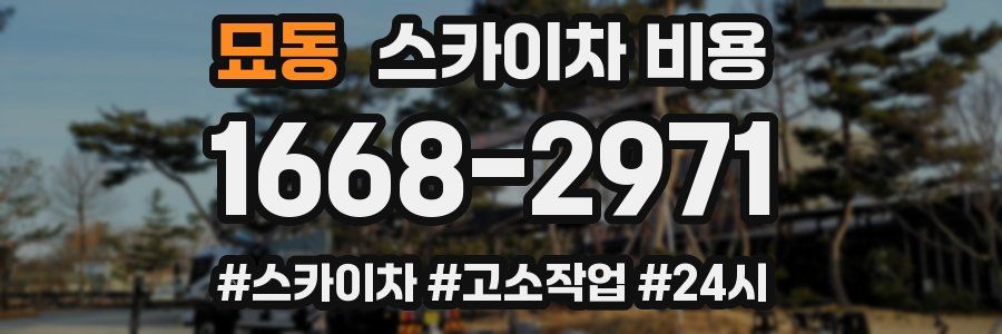 묘동 스카이차 비용