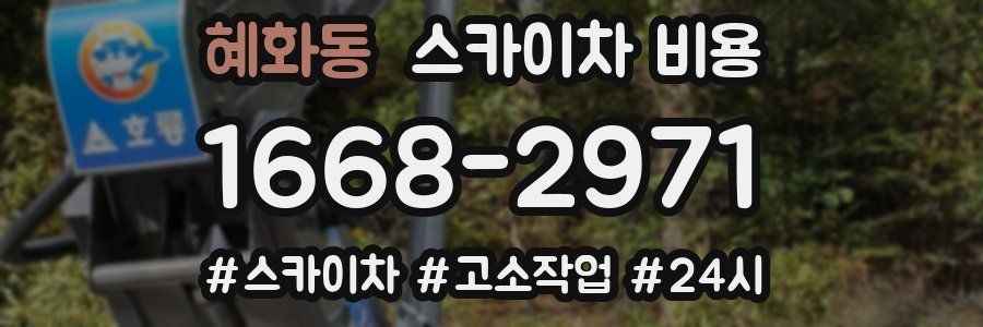 혜화동 스카이차 비용