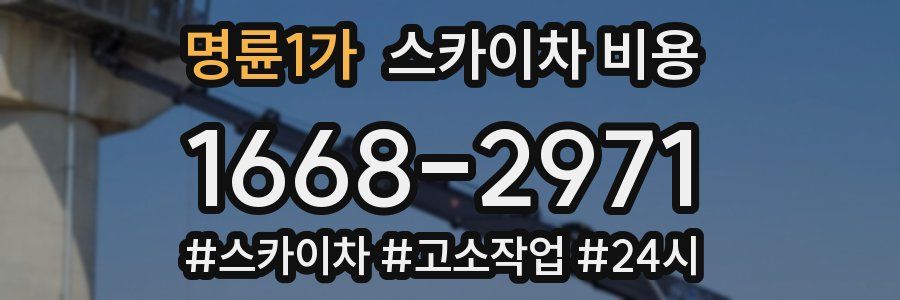 명륜1가 스카이차 비용