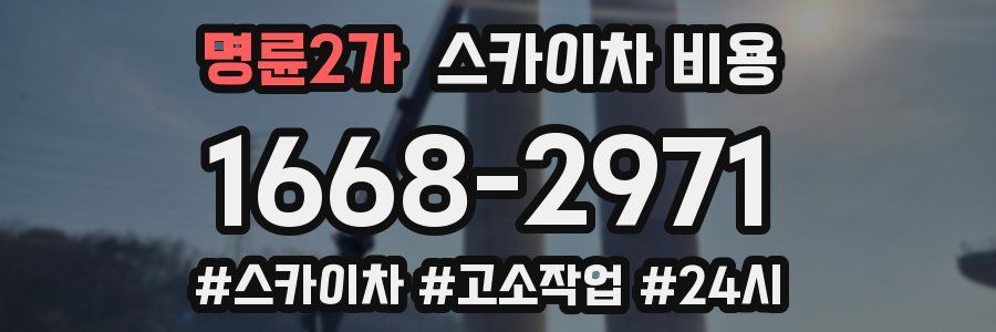 명륜2가 스카이차 비용