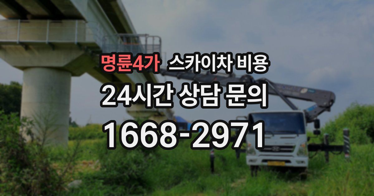 명륜4가 스카이차 비용