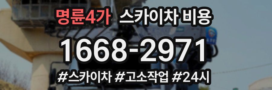 명륜4가 스카이차 비용