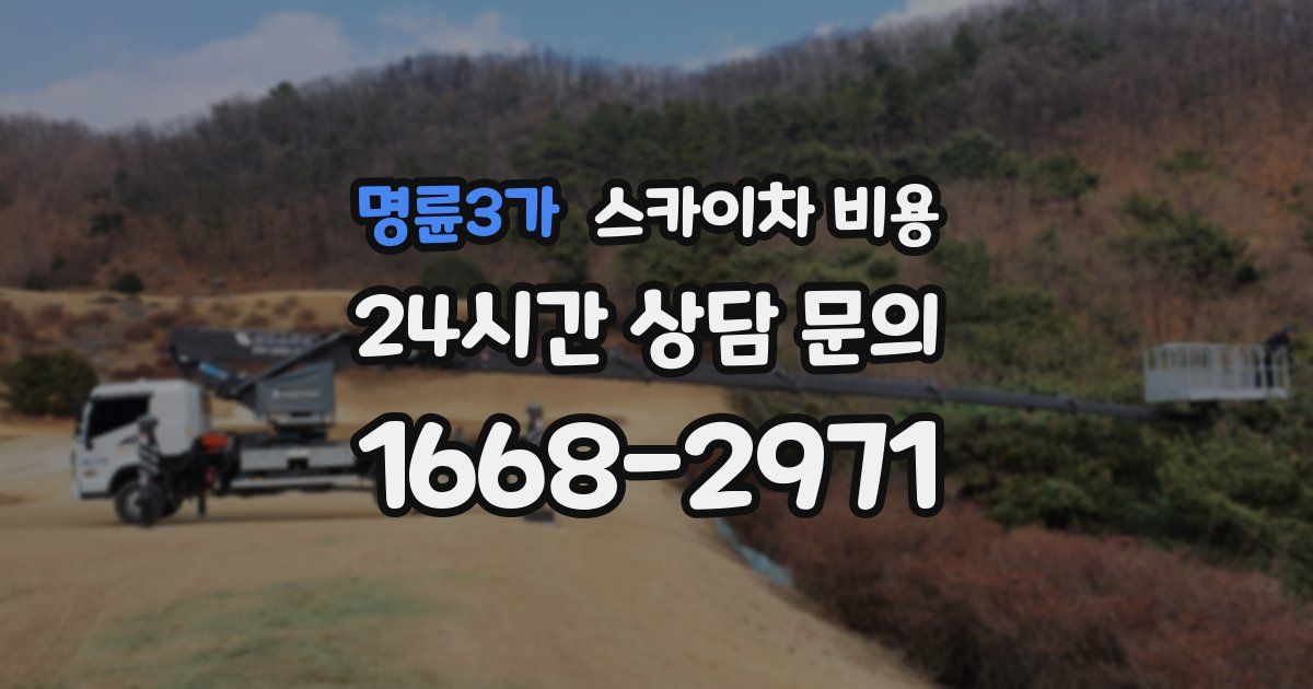 명륜3가 스카이차 비용