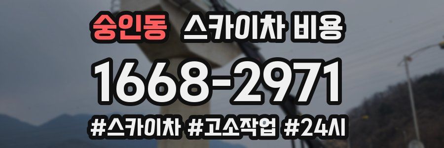 숭인동 스카이차 비용