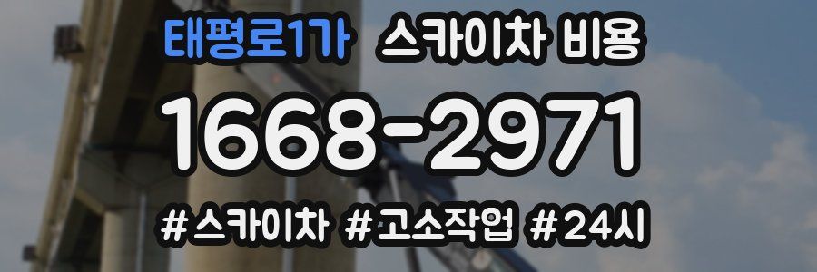 태평로1가 스카이차 비용