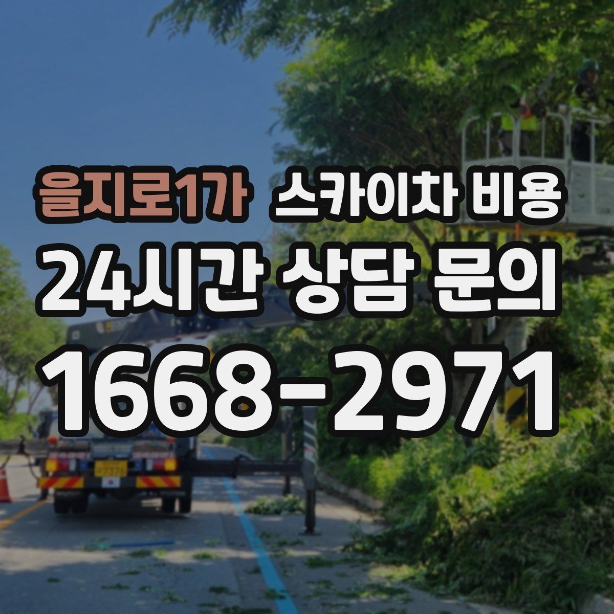 을지로1가 스카이차 비용 수목 전정은 작업 구역이 넓으면 달라질까