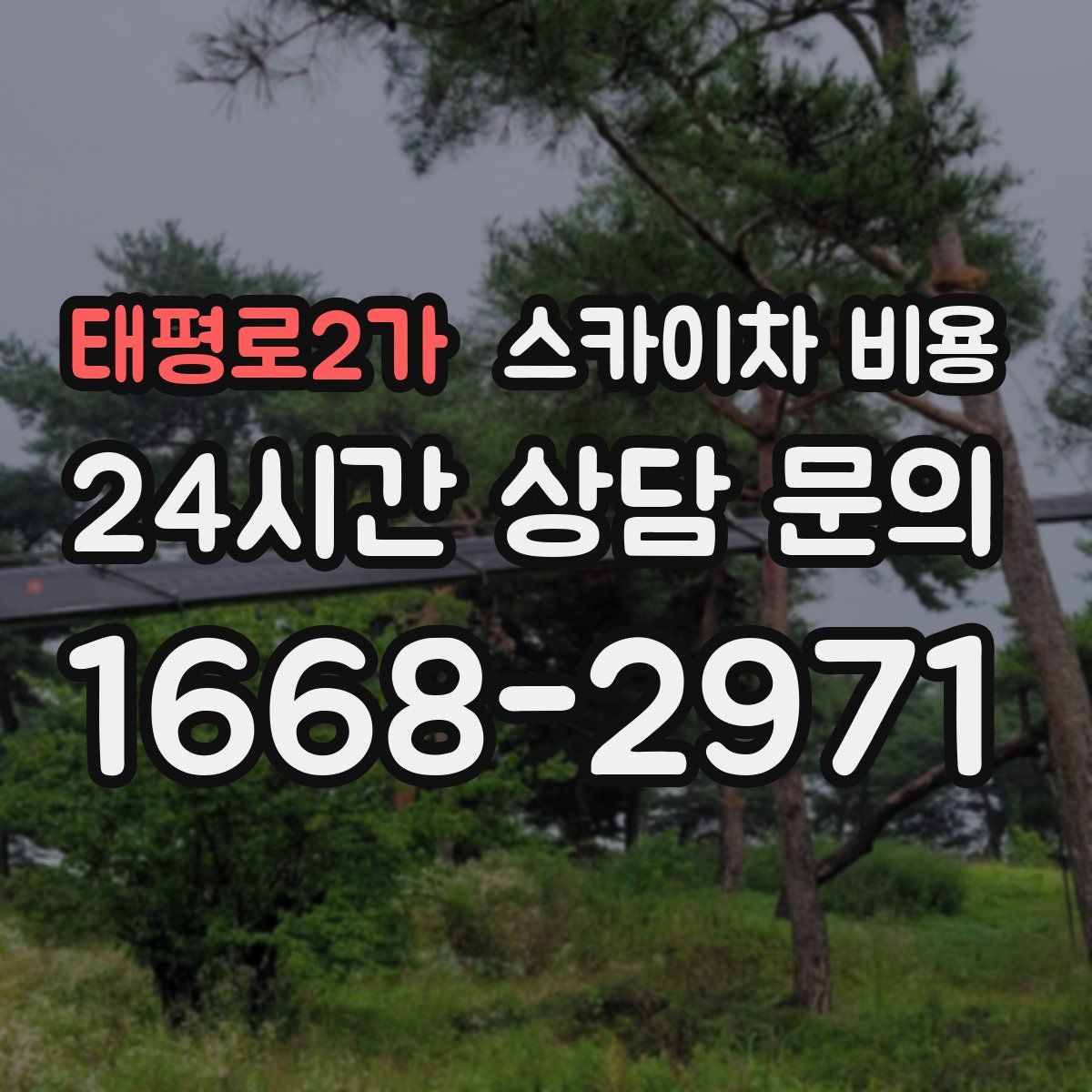 태평로2가 스카이차 비용