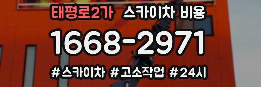 태평로2가 스카이차 비용