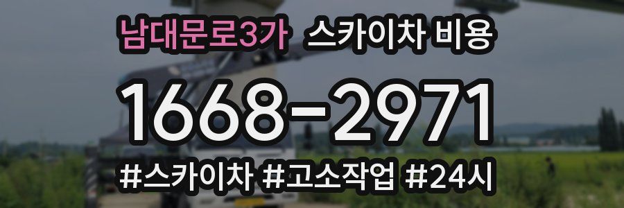 남대문로3가 스카이차 비용