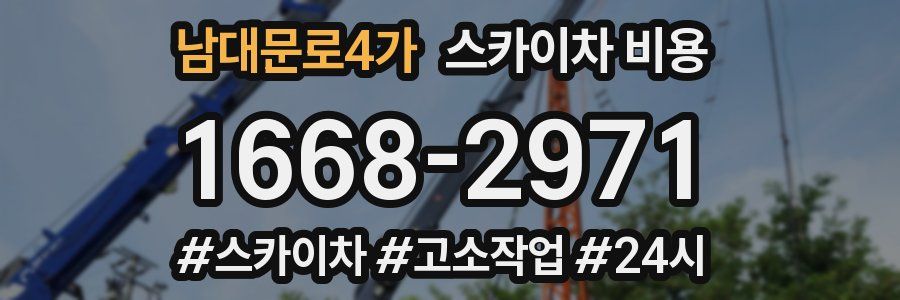 남대문로4가 스카이차 비용
