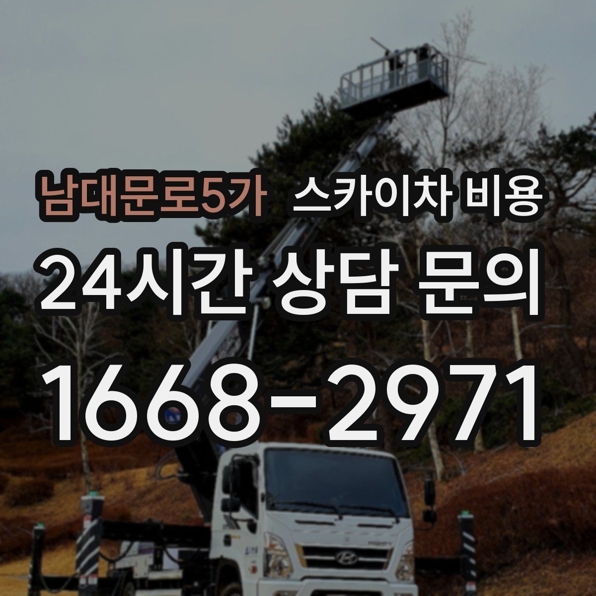 남대문로5가 스카이차 비용