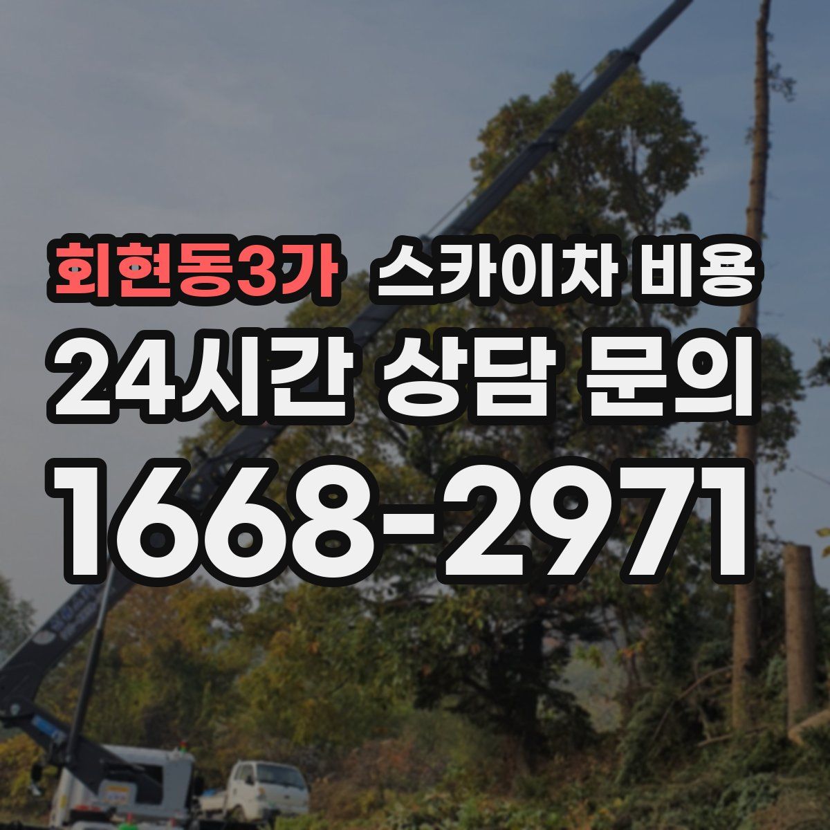 회현동3가 스카이차 비용