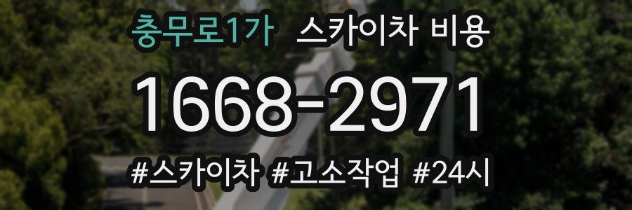 충무로1가 스카이차 비용