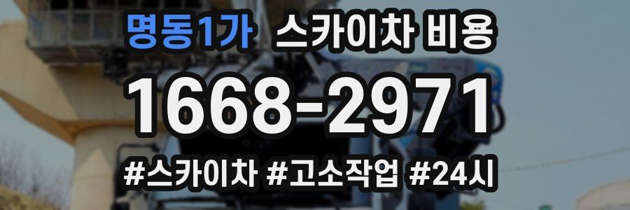 명동1가 스카이차 비용