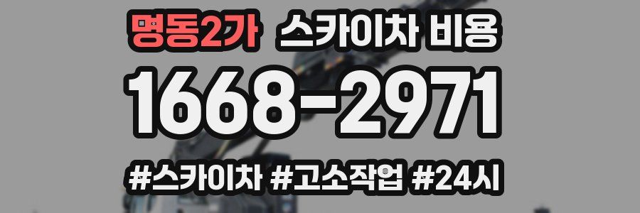 명동2가 스카이차 비용