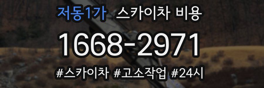 저동1가 스카이차 비용