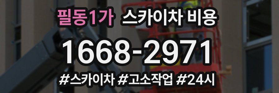 필동1가 스카이차 비용