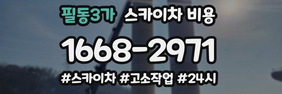 필동3가 스카이차 비용