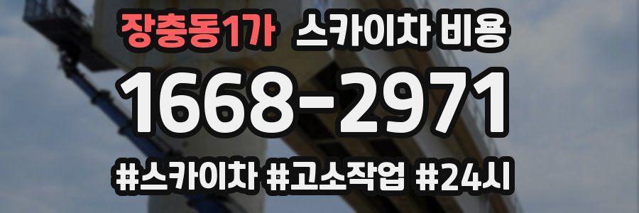 장충동1가 스카이차 비용