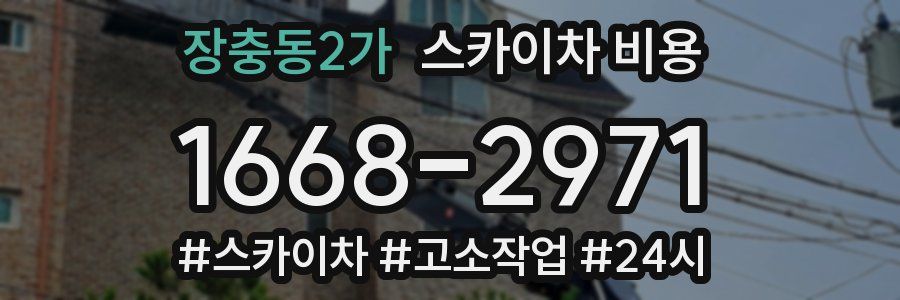 장충동2가 스카이차 비용