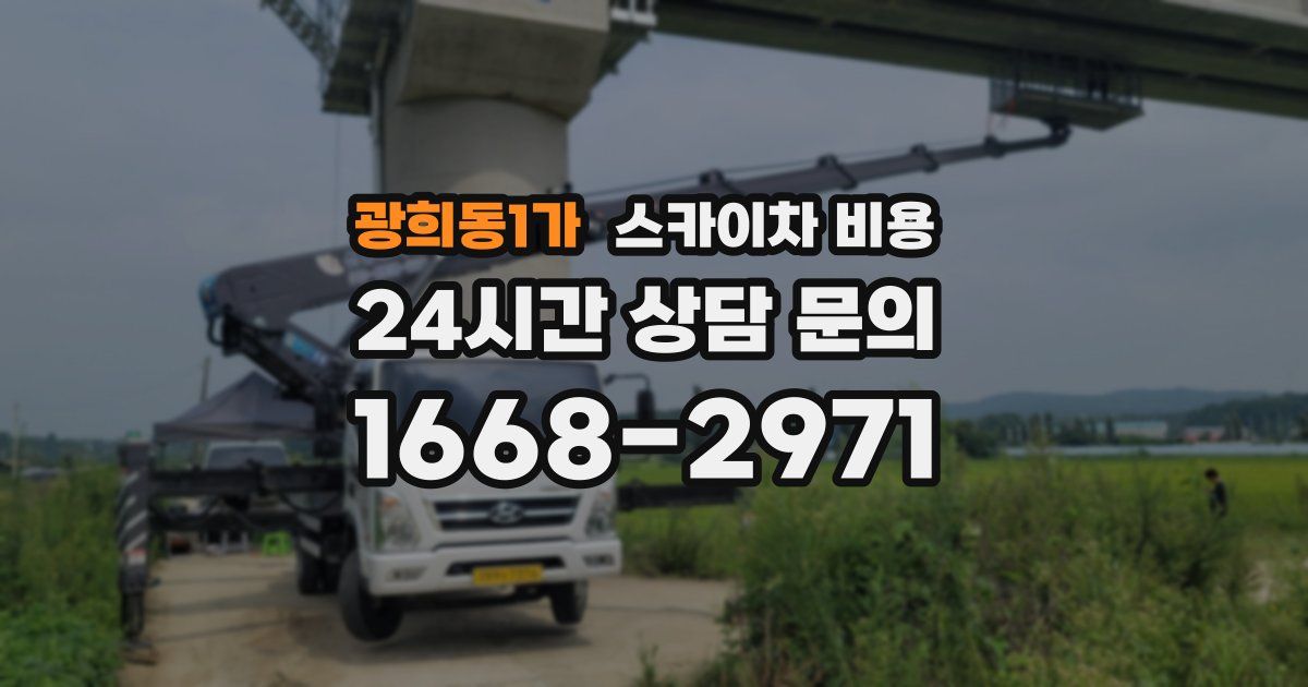 광희동1가 스카이차 비용