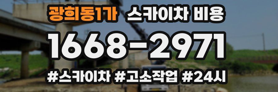 광희동1가 스카이차 비용