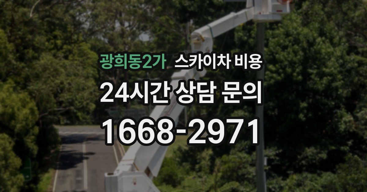 광희동2가 스카이차 비용