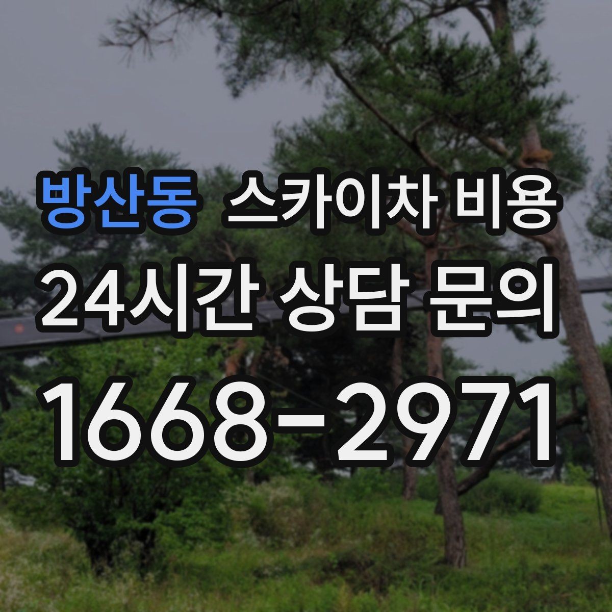 방산동 스카이차 비용 수목 전정은 작업 구역이 넓으면 달라질까