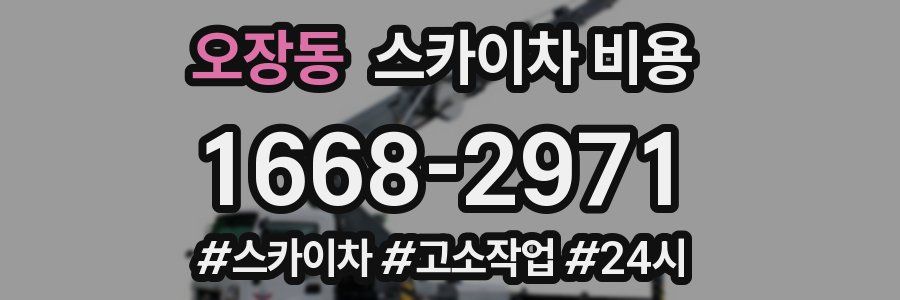 오장동 스카이차 비용