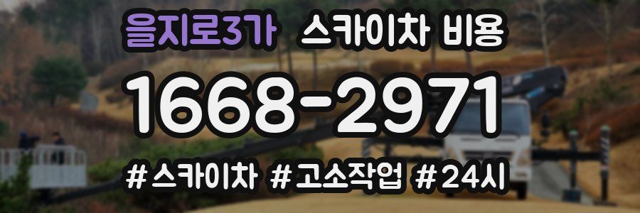 을지로3가 스카이차 비용