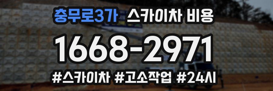 충무로3가 스카이차 비용