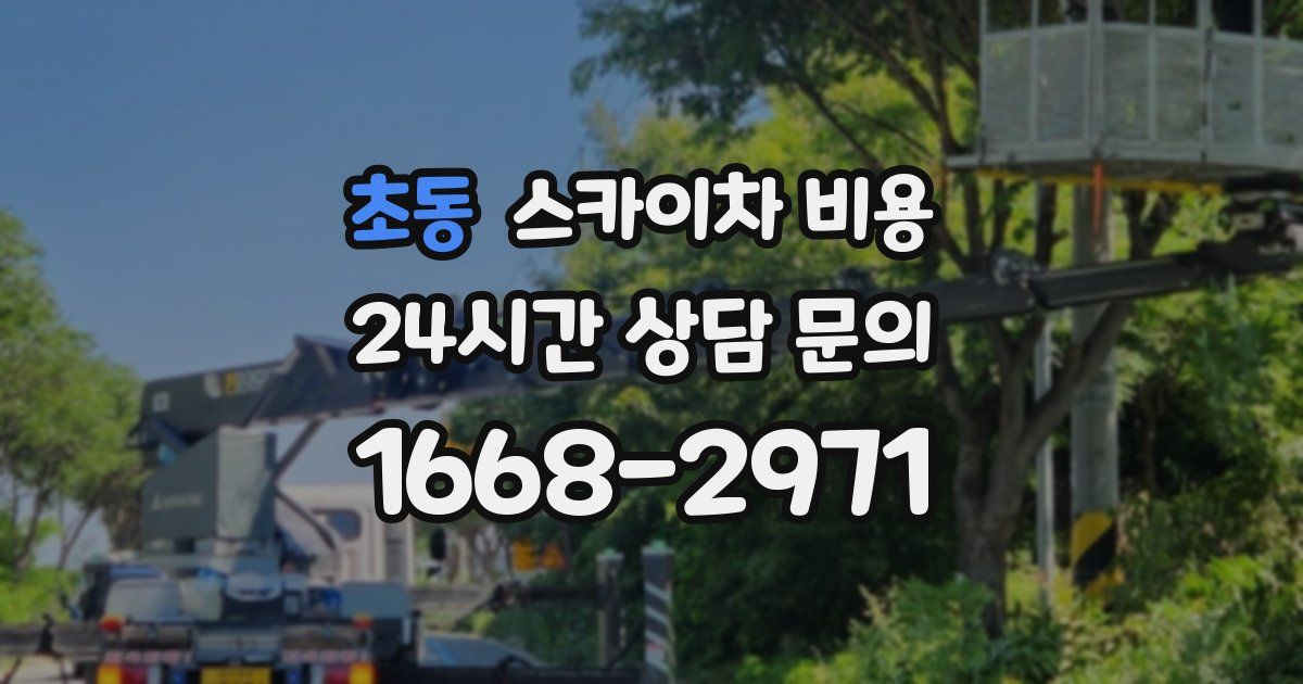 초동 스카이차 비용