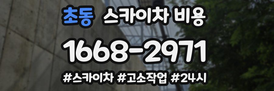 초동 스카이차 비용